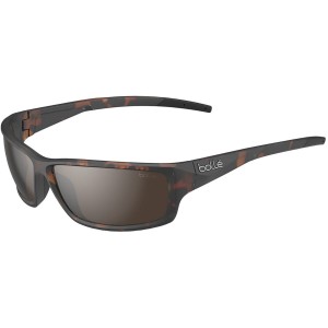 Bollé CERBER Lifestyle Sunglasses Dark Tortoise Shiny | 238605-KAI